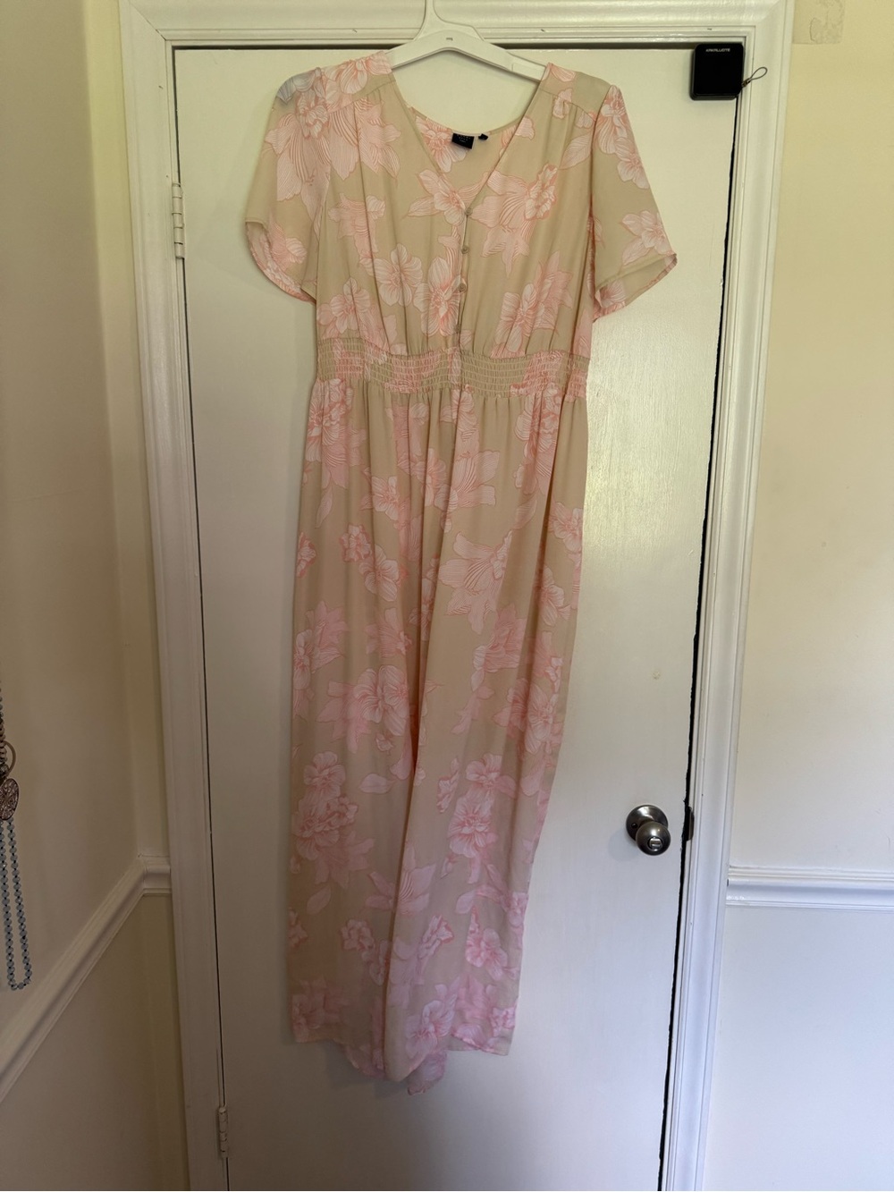 Kaari Blue Pink Floral Beige Maxi Dress